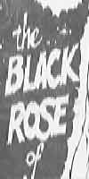 "The Black Rose" , artwork by Peter Lynde, 1978
