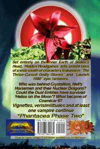 Back cover for Hidden Headgames, prepared by Jim McPherson, 2017