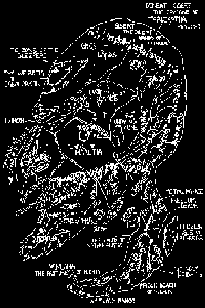 Inverted version of the map of Sedon's Head, prepared by Jim McPherson and Tim Hammell circa 1978
