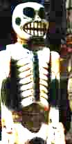 Wooden Skeleton, a near lfe-sized puppet spotted in Playa del Carmen in early 90s by Jim McPherson